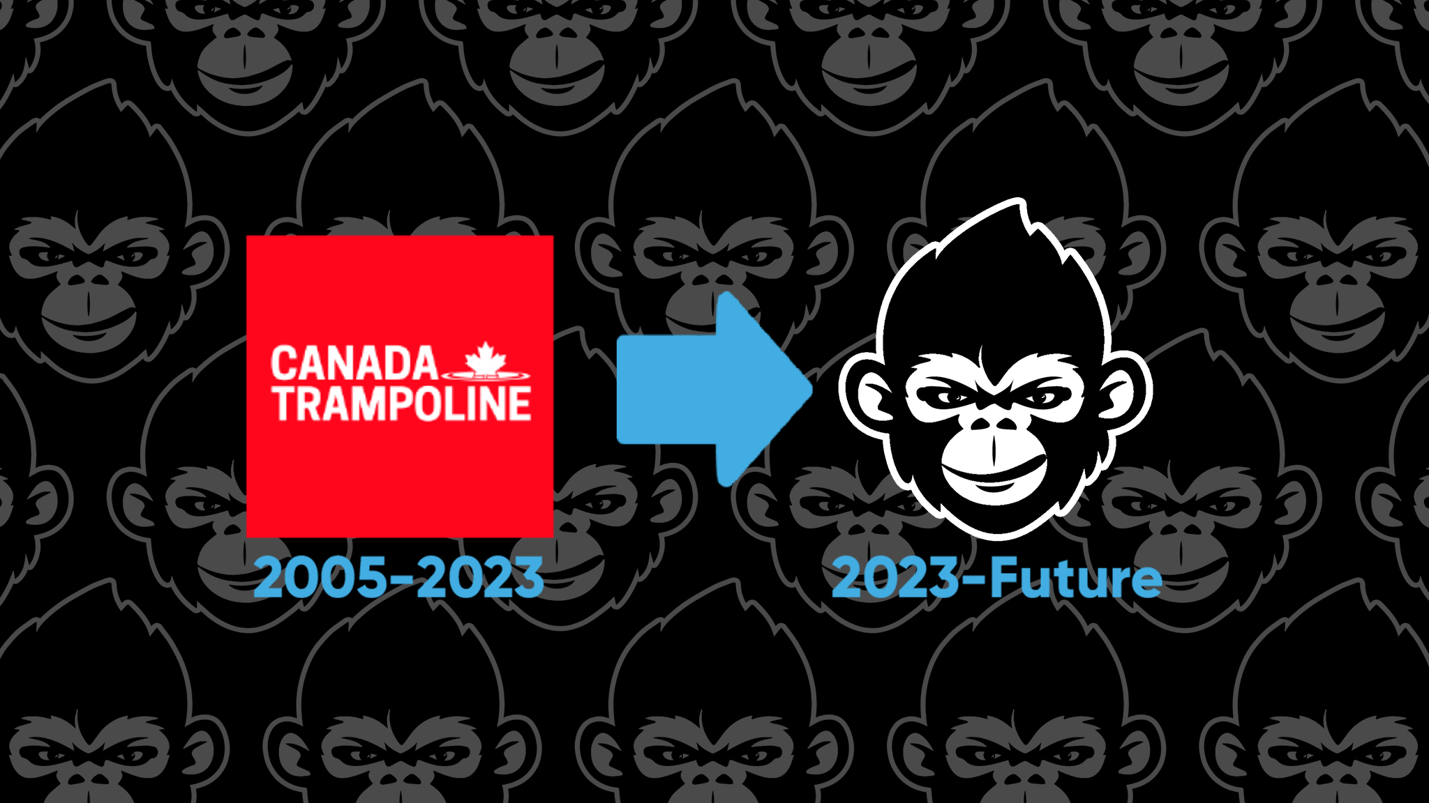 Canada Trampoline Is Now Crazy Ape Extreme Equipment - Crazy Ape Extreme Equipment