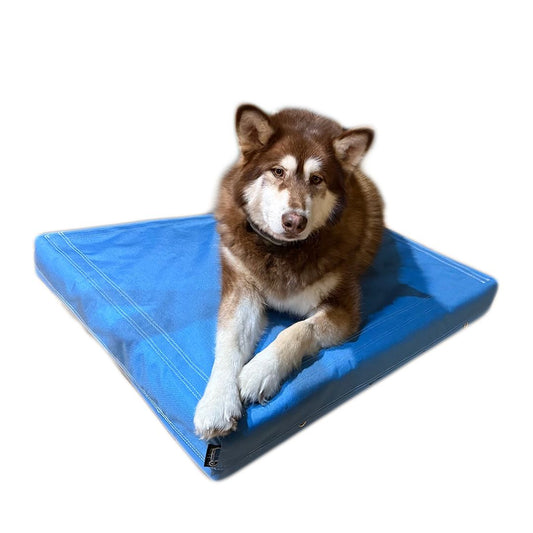 Crazy Dog Beds