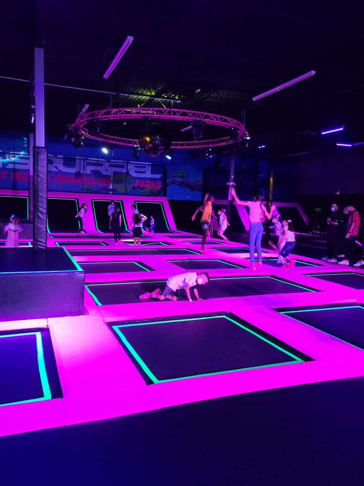 Flying squirrel Florida.jpeg__PID:048c647c-0ae7-4f64-a8b5-b69e90d4ac3c