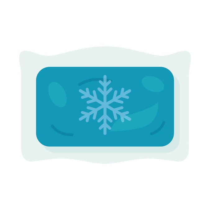 APEX Ice Pack (Box - 24)