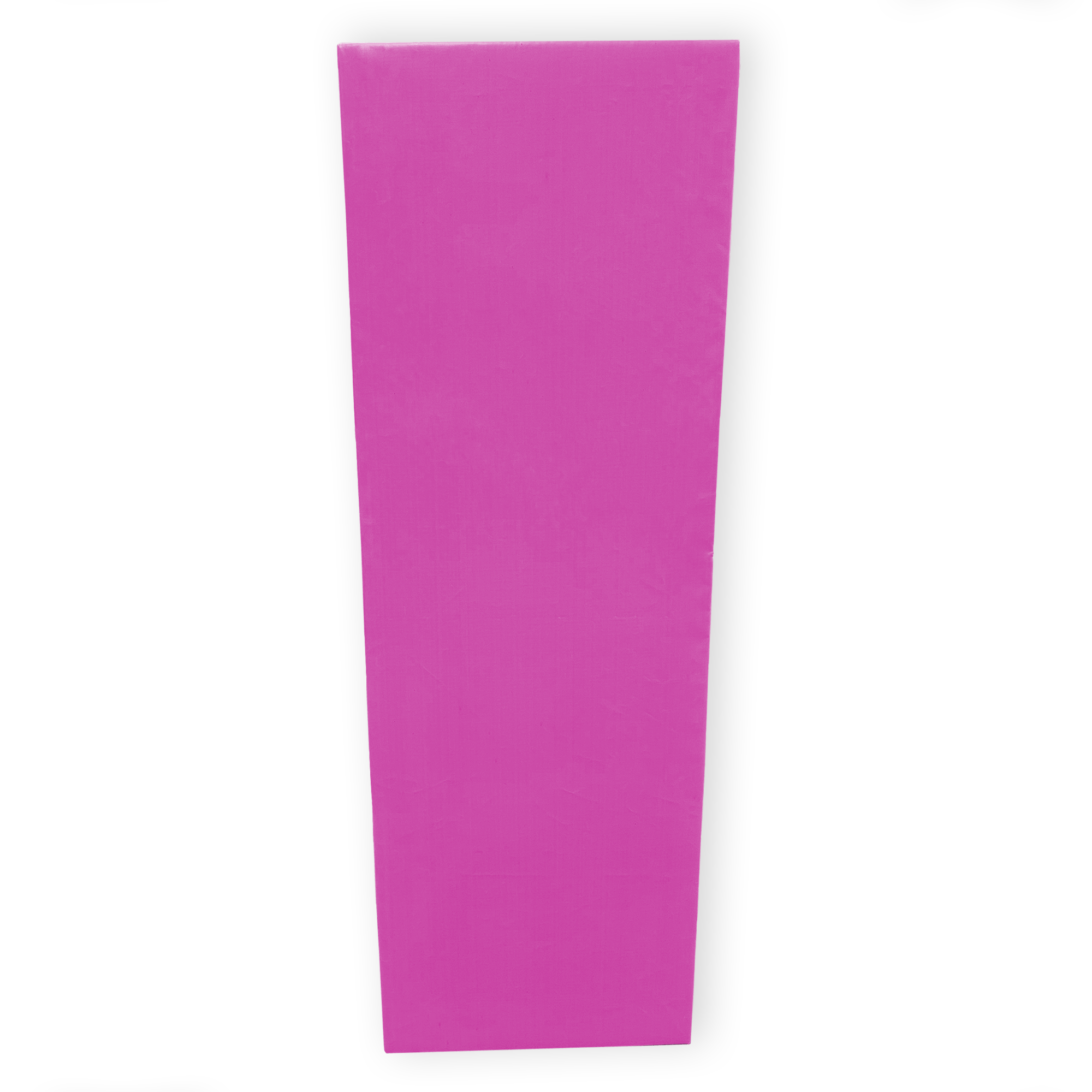 Protection Murale Modulaire pour Sports 6' x 2'